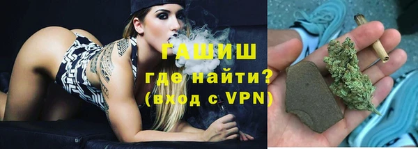 прущие грибы Белокуриха
