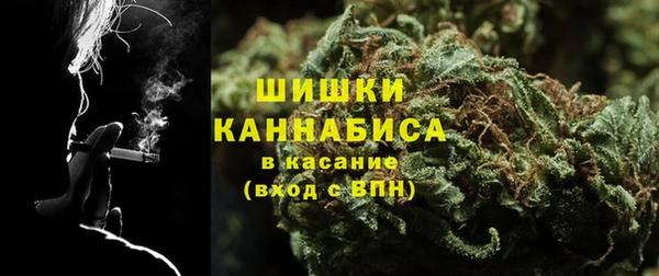прущие грибы Белокуриха